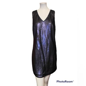 Banana Republic Sequin Dress
